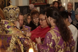 _MG_5081 - �����